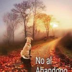 Aracely Arámbula Instagram – JAMÁS ABANDONES A UN FIEL AMIGO #NOALMALTRATOANIMAL ✨🙏✨🐶🫶♥️