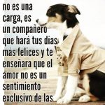 Aracely Arámbula Instagram – Son más que amigos y compañeros del Alma #cuidalos y #respetalos