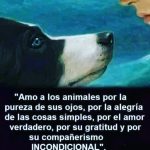 Aracely Arámbula Instagram – Por eso y más …. Nuestros fieles AMIGOS 🐶🫶♥️✨😻✨🙏✨ POR EL RESPETO A LA VIDA AMINAL ✨🙏✨🫶🐶♥️ FELIZ DOMINGO