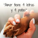 Aracely Arámbula Instagram – 🐶🫶✨🙏✨😍