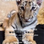 Aracely Arámbula Instagram - Clase con causa a benéfico de Dairen quien se apunta ayudar 🙏✨♥️ informes con nuestra amiga rescatista @yael__ruiz Domingo 13 de agosto llama y aparta tu lugar