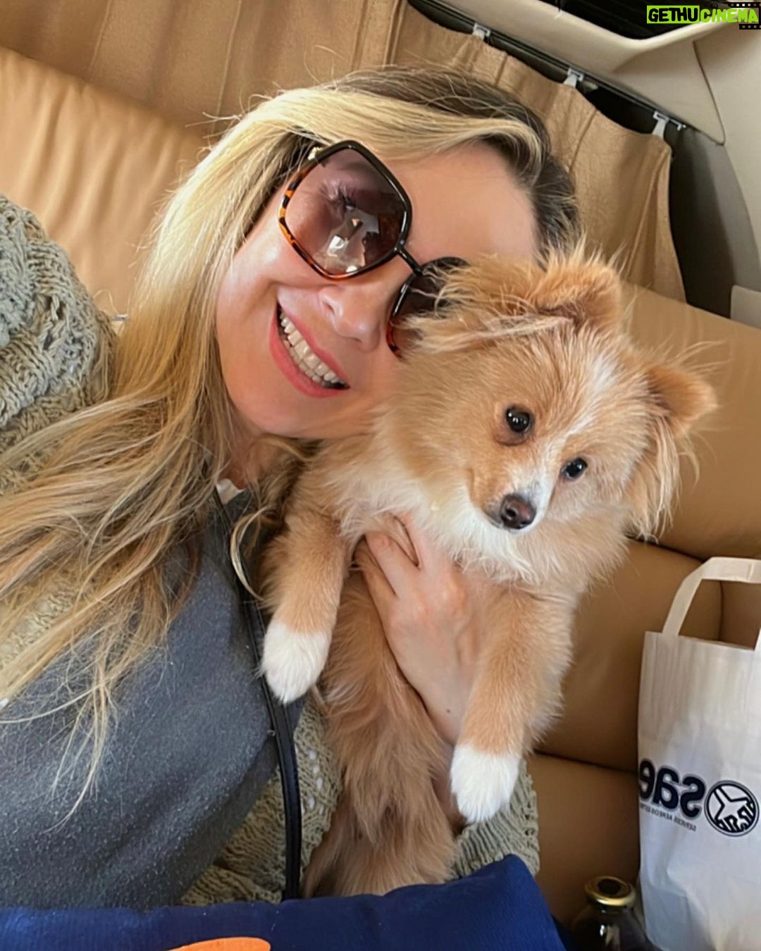 Aracely Arámbula Instagram - ♥️✨🐶🫶 #petfriendly @patriot_aviation 🫶👍🥰🐶🐶🐶🐶🫶🙏 @drleoarambulaoficial 😘 con mi bella Bela 😻🫶🐶♥️