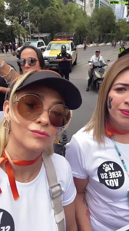 Aracely Arámbula Instagram - Marcha en Favor de la vida 🐶🐷🐱🦁🐻🦊🐰🐾