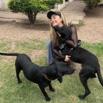 Aracely Arámbula Instagram – Amor del bueno !!! ✨🐶🐶🐶♥️♥️♥️ mis rescatados listos para irse en adopción a mi amada tierra Chihuahua 🫶 abrazándonos porque se van la cd Juárez donde van a estar super bien atendidos y con mucho espacio para correr libres donde puedan jugar y pasarla muy bien ✨👌🫶👍🏻😍🐶 gracias por adoptar a Luka mi niño de la camada de la güera que uds vieron en mis historias es in perrazo divino que amo y lo tuve en casa mucho tiempo muy felices y ahora con nuevo hogar ✨🫶 y la pinta rescatada de la calle con un tumor enorme cancerígeno a quien atendimos y le dimos tratamiento recibió sus quimios en abril del año pasado me llamo la veterinaria y me dijo la tenemos que dormir 🫢☹️🥲 lamé puse a llorar y le dije que hicieran todo para salvarla ✨🙏✨ me puse a pedir por ella junto con Judith y a las dos horas me mandan un video donde estaba reaccionando 😅✨🙏✨ Asi que hemos luchado mucho junto con ella por su vida y que ahora mi pinta tiene un gran hogar 🫢😍👌y ya recuperada a ella la vi en un post de @amorsinraza y tome el caso , Mauri estaba en una de mis locaciónes de La Madrastra en la iglesia con su patita lastimada la lleve al veterinario y se recuperó muy bien han pasado muchos meses los que son rescatistas saben que no es fácil que nos adopten perritos de talla grande perro con paciencia y mucho amor se logró gracias siempre hay que apostar a lo positivo y luchar por hacerlo posible estoy muy muy contenta porque les pude cumplir a estos 3 perritos y hay tantos esperando así que PORFAVOR pero no paremos de ayudar y darles la mano y pasar el mensaje de amar a los animales de respetar sus vidas y luchar por sus derechos y por darles voz ✨🙏✨ ellos valen mucho y siempre merecen una oprtunidad de mejorar su vida ✨🫶✨🐶🐶🐶 los perritos rescatados son los más agradecidos ♥️♥️♥️✨GRACIAS a toda mi ARAFAMILIA que ha seguido mis pasos como @anissapanal en españa y asi much@s GRACIAS DE CORAZÓN ♥️ NO PAREMOS 🙏😃🫶 #LOSAMO OOOOOOO !!!!!!!!