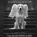 Aracely Arámbula Instagram – Respetemos la vida animal ✨🙏✨🐶♥️😸 sobretodo a estos seres maravillosos que solo saben dar Amor y lealtad ✨🐶♥️ los perritos no son de la calle son perros abandonados , no abandones a un ser de luz a su suerte ellos sienten y sufren tienen más corazón que muchos humanos ✨🙏✨🐶♥️ cuando veas a uno de estos animalitos en la calle necesitado de comida o con sed en este tiempo de calor intenso no pases de largo quizá seamos su única oportunidad para sobrevivir ✨🙏✨ comparte y se generoso nada te quita darle agua o comida y si te es posible rescatarlo hacer todo lo posible e imposible porque te llena de alegría y satisfacción cuando salvas vidas ✨🙏👍🏻🐶 hagamos que crezca el mensaje de AMOR hacia estos seres y que más personas aprendan sobretodo los niños, los jóvenes a tener mayor consideración con los que no tienen voz y hacer valer su derecho por la vida digna ✨♥️🫶🐶✨ #NOALMALTRATOANIMAL ✨🙏🙏🙏🙏🙏✨ seamos pro Vida 👍🏻✨ no tengan a sus perros en la azotea amarrados  esa no es vida para un animalito ni tampoco  en un terreno cuidando y sin comer al sol o a la lluvia 🫢😞☹️ seamos conciertes y hagamos que este mundo mejore 🙏👍🏻🫶 denuncia el maltrato y no calles se necesita escuchar tu voz para estos seres de amor que no la tienen 🙏🙏🙏 ✨✨✨✨✨✨✨✨✨#esterilizar #vacunar son actos de Amor  sigamos ayudando ✨🙏🐶♥️🫶👍🏻✨
