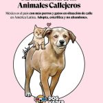 Aracely Arámbula Instagram – Mi mayor deseo es que haya más empatía y consideración para estos seres de Amor y de luz 🙏♥️💯 seres que solo saben dar lo mejor 🐶🐾 ojalá y aprendiéramos cada día mas de ellos los seres humanos 🙏♥️🐶 y ayúdemos a que no hayan perritos de la calle porque no son la calle son perros abandonados y duele el Alma verlos, cada vez que los veo en las calles o carreteras quiero llevármelos y lo he hecho a pesar de que no es fácil porque ha sido de Madrugada y grabando nada impide hacerlo por el amor tan grande que siento por ellos todavía tengo 5 perritos en pensión desde hace vi años porque no han sido adoptados 🥲 y es muy triste pero no voy a parar de luchar y darles VOZ 🙏🐶♥️ para darles un buen hogar y familia aunque no sea fácil hay veces que por más que les buscamos es muy complicado ojalá que las personas cambian esa  mentalidad de que los perros tienen q vivir mal o vivir afuera cuando son mejores que muchas personas leales , fieles, cariñosos guardianes y dan todo por uno 🙏♥️🐶 tu que me lees y entiendes este leguaje de AMOR hacia estos seres sabrás porque lo digo 🙏♥️🐶 invito a todos ustedes mi #Arafamilia bella ayudarlos si ven alguno en la calle no se pasen de largo no sabemos cuantos días tenga sin comer 🙏🙏🙏 no seamos indiferentes al maltrato y a esa vida no digamos vida de perro porque eso debe de cambiar ADOPTA NO COMPRES y tendrás una recompensa hermosa de por vida y compañía de lo mejor !!! Esteriliza que es un acto de AMOR 🙏 proteger cuidar y vacunar si no puedes adoptar ayuda algún perrito o gatito de tu colonia con comida agua y con vacunas para que no se enferme ponte en sus patitas 🐾 🙏 QUIEN AMA A LOS ANIMALES ES UN GRAN GRAN SER HUMANO !!!! Luchemos por un mundo mejor para nuestros hijos !!!!!! 🙏🙏🙏🙏🙏♥️🐶🐾