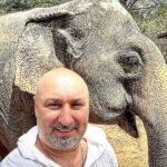Aram Ananyan Instagram - Это моё любимое животное 🐘 А знаете почему? Слон – единственное животное, у которого нет врагов, даже львы не решаются нападать на него. Такой сильный и в то же время такой добрый и послушный 🙌🏽 Да и в шахматах, моя любимая фигура тоже слон. Раньше, в армиях древних народов слоны были предшественниками танков, которых вообще ничем не остановить было. Слон - слышит, чувствует, видит как человек. Говорят, что он даже всё помнит и ничего не забывает. Вот например поговорка: память у тебя, как у слона. Но запомните одно точно, женщины и слоны никогда не забывают обиду. —————— Слоны в Таиланде — национальный символ страны, они являются священным животным. Для тайцев, слон олицетворяет три основных института Таиланда: религию, нацию и Короля. Phuket, Thailand