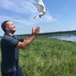 Ararat Keshchyan Instagram - Талантливый фотограф может успеть запечатлеть момент парковки голубя задним ходом. #нефакт #нефакттв #нефактпсков