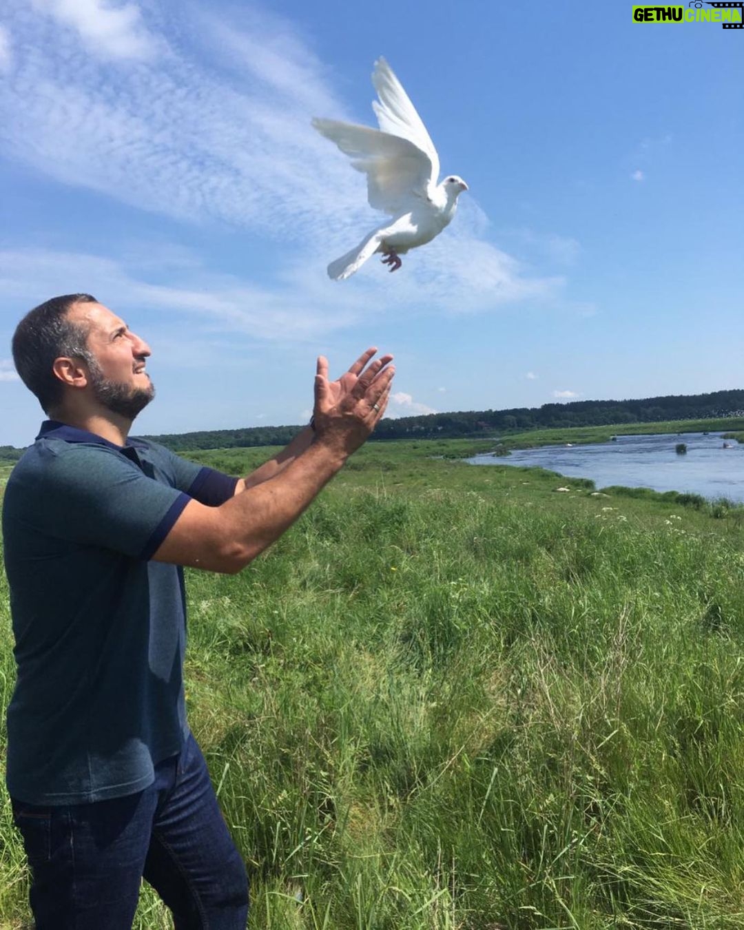 Ararat Keshchyan Instagram - Талантливый фотограф может успеть запечатлеть момент парковки голубя задним ходом. #нефакт #нефакттв #нефактпсков