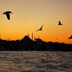 Aras Bulut İynemli Instagram – Wherever I am, my heart is in Istanbul!🇹🇷#MyHeartIsInIstanbul #TurkeyHome @turkey_home