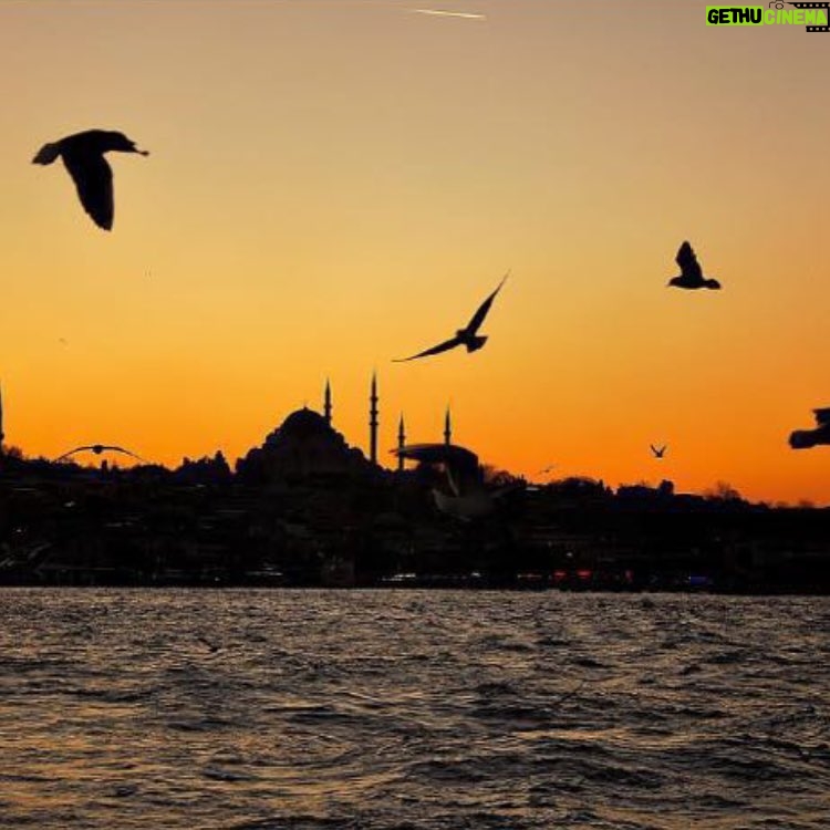 Aras Bulut İynemli Instagram - Wherever I am, my heart is in Istanbul!🇹🇷#MyHeartIsInIstanbul #TurkeyHome @turkey_home