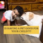 Archana Chandhoke Instagram - Share it with your dog moms and also with those who are thinking if it is good to raise kids with dogs 😊 Simba is so protective of Aaru baby and loves him soooo much 💜 Why is it great to raise kids with pets? ⭐️ My doctor said this too! ❣️Recent studies in pediatric health have concluded that children who lived with pets (especially dogs) during their first year of life actually had a better immune system than those who did not. ⭐️ No matter your age, pets can have a huge impact on your social-emotional health! Having a pet comes with so many social-emotional benefits for children. ⭐️ Positive relationships with family pets, like cats or dogs, can boost a child’s self-esteem and confidence. ⭐️ Taking part in activities like walking the dog or feeding them can give them a sense of responsibility. ⭐️ Also, playing with their furry friend can reduce stress and anxiety. ⭐️ Children also learn how to “nurture” when caring for a pet, which is the act of taking care of others. ⭐️ Pets have a lot of energy, so they can be a great way for kids to get physical activity! ⭐️ Talking to your pet helps baby just by watching and learning. Soon enough, they will learn the special ways to communicate with them too! ⭐️ Pets can just give so much unconditional love and their bond will just be so amazing 😻 they are also protective and that’s great, isn’t it? :) So so many benefits! Having said that, some things needs to be addressed and taken care of: ⭐️ Pets needs to be well trained ⭐️ They need to be familiarised with the baby well ⭐️ They need to be felt loved too, so please shower as much love as possible to your pets after the baby arrives ⭐️ Also, teach your toddlers/ kids to handle your pets well. Show them how to treat them, hold them, pet them and behave with them. Most importantly, no matter what, we need to always be cautious and keep an eye. I mean, that’s a given! But it’s sooooo worth it❣️ #dogmoms #pets #petlovers #motherhood #toddler #baby #kids #momblogger #mother Chennai, India