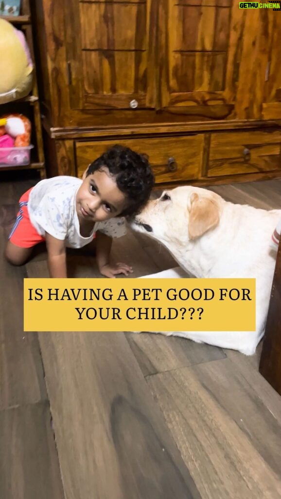 Archana Chandhoke Instagram - Share it with your dog moms and also with those who are thinking if it is good to raise kids with dogs 😊 Simba is so protective of Aaru baby and loves him soooo much 💜 Why is it great to raise kids with pets? ⭐️ My doctor said this too! ❣️Recent studies in pediatric health have concluded that children who lived with pets (especially dogs) during their first year of life actually had a better immune system than those who did not. ⭐️ No matter your age, pets can have a huge impact on your social-emotional health! Having a pet comes with so many social-emotional benefits for children. ⭐️ Positive relationships with family pets, like cats or dogs, can boost a child’s self-esteem and confidence. ⭐️ Taking part in activities like walking the dog or feeding them can give them a sense of responsibility. ⭐️ Also, playing with their furry friend can reduce stress and anxiety. ⭐️ Children also learn how to “nurture” when caring for a pet, which is the act of taking care of others. ⭐️ Pets have a lot of energy, so they can be a great way for kids to get physical activity! ⭐️ Talking to your pet helps baby just by watching and learning. Soon enough, they will learn the special ways to communicate with them too! ⭐️ Pets can just give so much unconditional love and their bond will just be so amazing 😻 they are also protective and that’s great, isn’t it? :) So so many benefits! Having said that, some things needs to be addressed and taken care of: ⭐️ Pets needs to be well trained ⭐️ They need to be familiarised with the baby well ⭐️ They need to be felt loved too, so please shower as much love as possible to your pets after the baby arrives ⭐️ Also, teach your toddlers/ kids to handle your pets well. Show them how to treat them, hold them, pet them and behave with them. Most importantly, no matter what, we need to always be cautious and keep an eye. I mean, that’s a given! But it’s sooooo worth it❣️ #dogmoms #pets #petlovers #motherhood #toddler #baby #kids #momblogger #mother Chennai, India