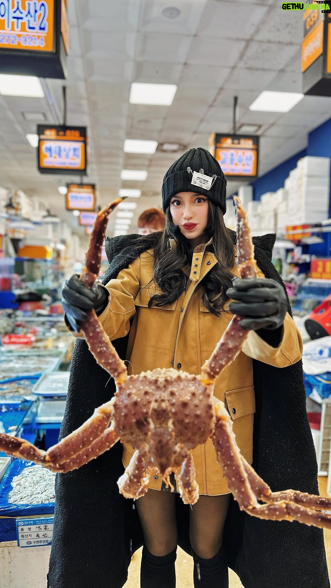 Arci Muñoz - 55.2K Likes - Ze happiest when surrounded with food!! 🥘 🍖🍗🧆🍲🍛🍜 #foodtrip from #gwangjangmarket to the biggest seafoood market in seoul #norianjinfishmarket #arcismundo