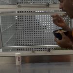 Arcrebiano Araújo Instagram - Qual foi a palavra que vc encontrou na segunda foto? 🧠🎯
