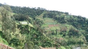 Ari Irham Instagram - Kaliangkrik, Nepal van java