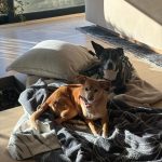 Ariana Grande Instagram -