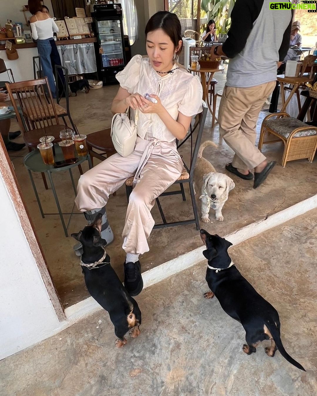 Arikanta Mahapreukpong Instagram - กว่ารูปจะถึงเชียงใหม่ 🫠 ขอบคุณพี่พี่ที่พาขาเป๋เที่ยวแบบโคตรใจดี สุดยอดความหลากหลายแต่ชิลมากเพลินมาก น่ารักมาก ขอบคุณมากนะงับ 🐣💗