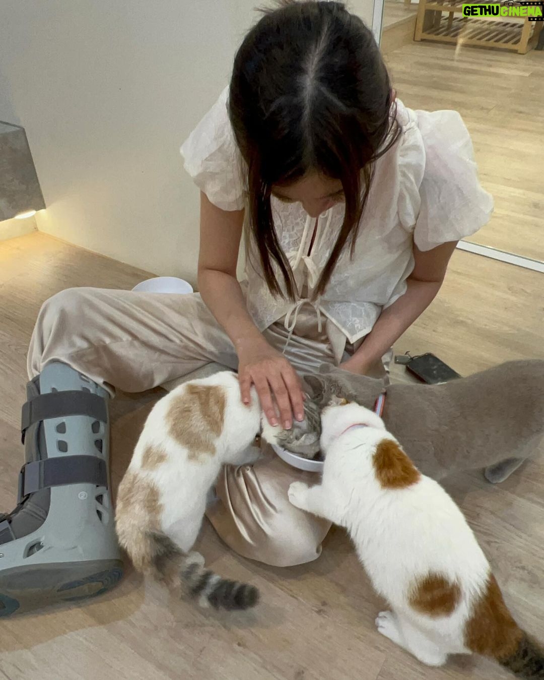 Arikanta Mahapreukpong Instagram - กว่ารูปจะถึงเชียงใหม่ 🫠 ขอบคุณพี่พี่ที่พาขาเป๋เที่ยวแบบโคตรใจดี สุดยอดความหลากหลายแต่ชิลมากเพลินมาก น่ารักมาก ขอบคุณมากนะงับ 🐣💗