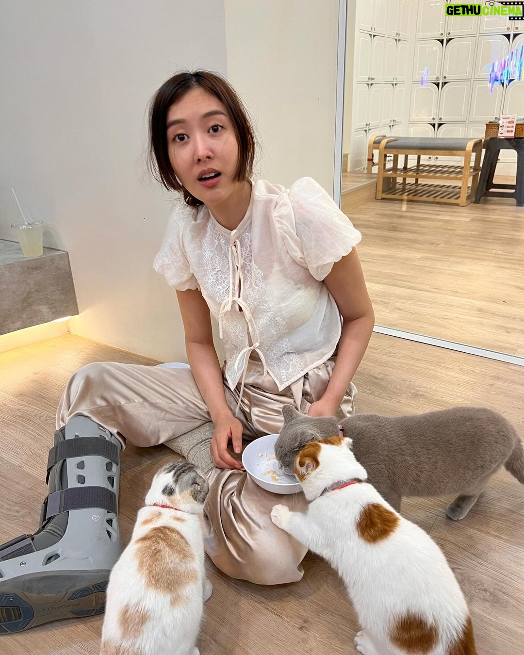 Arikanta Mahapreukpong Instagram - กว่ารูปจะถึงเชียงใหม่ 🫠 ขอบคุณพี่พี่ที่พาขาเป๋เที่ยวแบบโคตรใจดี สุดยอดความหลากหลายแต่ชิลมากเพลินมาก น่ารักมาก ขอบคุณมากนะงับ 🐣💗