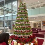 Arikanta Mahapreukpong Instagram - Found these Christmas trees and decorations ❤️🎄 One in @bababeachclub.huahin another in @bangkokhospital If we’re not just taking pictures but look closely we’ll see the thoughts they put behind it. Here’s to having a new take on old ways. There’s a middle ground or transition period which moves us toward a more kind and considerate future while not completely abandoning traditions or residuals of the past. Not too fast, not condemning anyone but also not staying stagnant and unevolved. It’s a cute and promising christmas merry merry everyone!🎄❤️