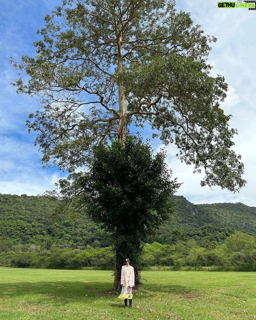 Arikanta Mahapreukpong Instagram - 🌳🙏🏻🌳
