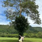 Arikanta Mahapreukpong Instagram - 🌳🙏🏻🌳