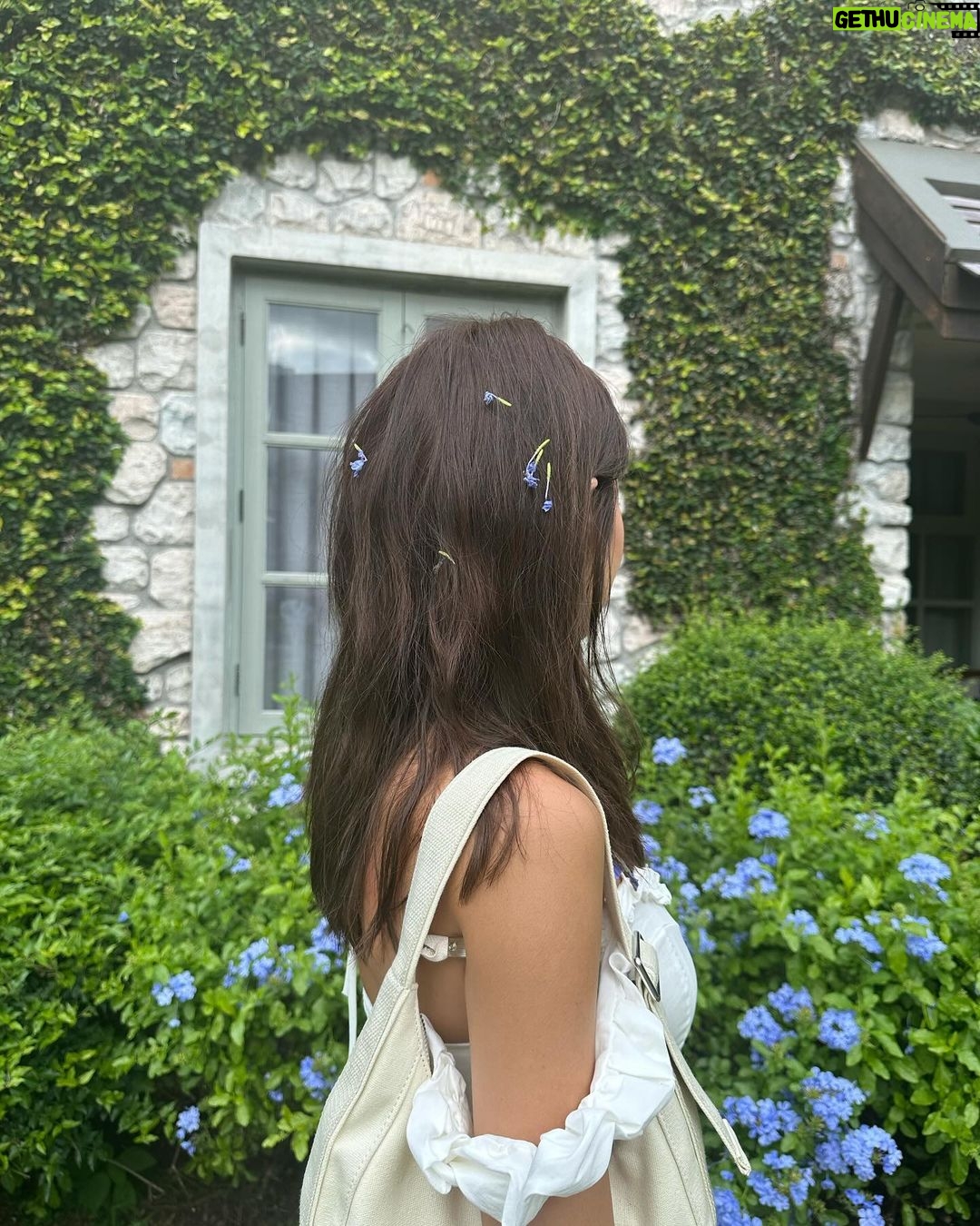 Arikanta Mahapreukpong Instagram - A 💐 for you in colors