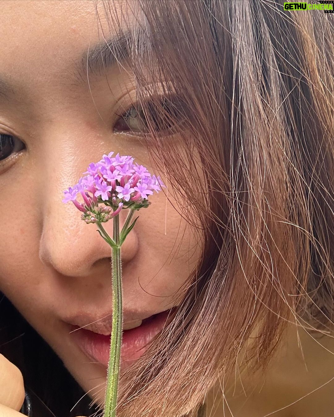Arikanta Mahapreukpong Instagram - A 💐 for you in colors