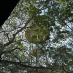 Arikanta Mahapreukpong Instagram -