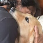 Arjun Rampal Instagram - Unconditional love ❤️ #dean #nationalpetday