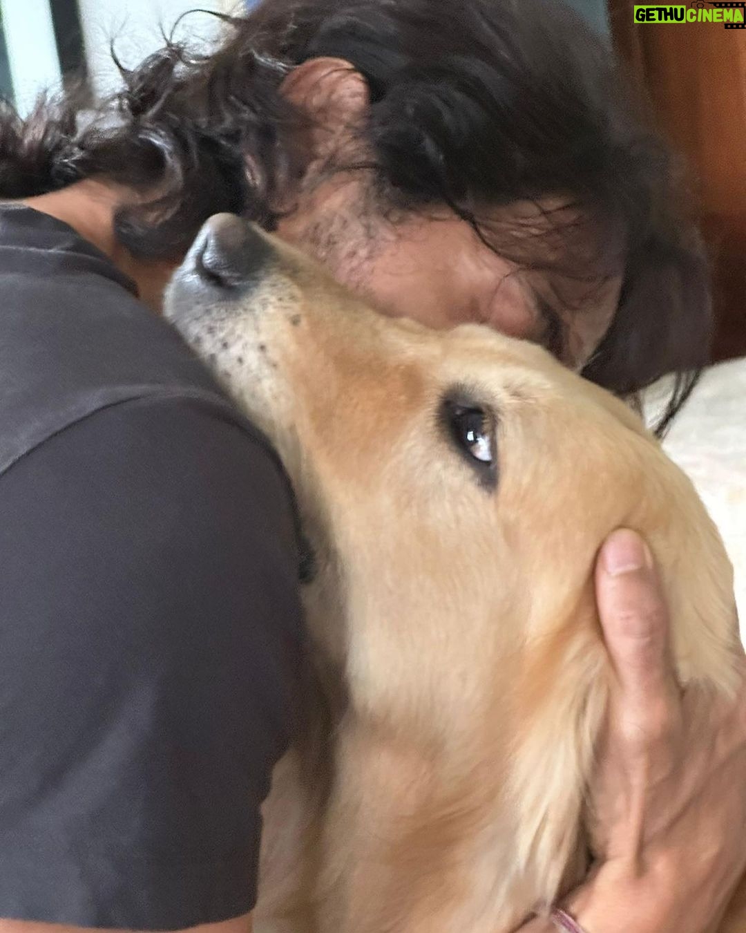 Arjun Rampal Instagram - Unconditional love ❤️ #dean #nationalpetday