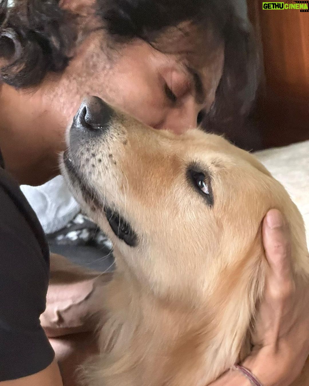 Arjun Rampal Instagram - Unconditional love ❤️ #dean #nationalpetday