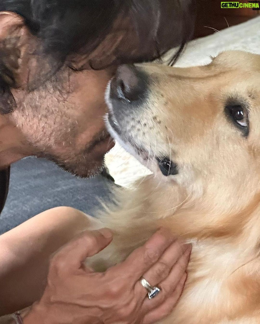 Arjun Rampal Instagram - Unconditional love ❤️ #dean #nationalpetday