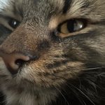 Asa Butterfield Instagram – New home, new dump.