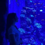 Aseel Omran Instagram – على كثر ماشفت برامج وثائقية عن عالم البحار 🐠 بوجودنا في @thenationalaq واللي يعتبر أكبر معرض للأحياء المائية في الشرق الأوسط يكتشف الواحد ان لسى مايعرف شي عن هالعالم🙏🏼سبحان الله 
#summerinabudhabi The National Aquarium