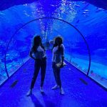Aseel Omran Instagram – على كثر ماشفت برامج وثائقية عن عالم البحار 🐠 بوجودنا في @thenationalaq واللي يعتبر أكبر معرض للأحياء المائية في الشرق الأوسط يكتشف الواحد ان لسى مايعرف شي عن هالعالم🙏🏼سبحان الله 
#summerinabudhabi The National Aquarium