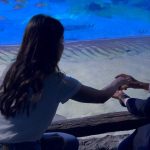 Aseel Omran Instagram – على كثر ماشفت برامج وثائقية عن عالم البحار 🐠 بوجودنا في @thenationalaq واللي يعتبر أكبر معرض للأحياء المائية في الشرق الأوسط يكتشف الواحد ان لسى مايعرف شي عن هالعالم🙏🏼سبحان الله 
#summerinabudhabi The National Aquarium