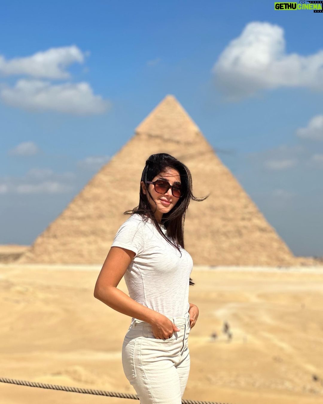 Aseel Omran - 60.2K Likes - 🍉كثيرون على قيد الحياة..قليلون على قيد الانسانية