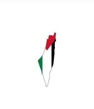 Aseel Omran Instagram - #freepalestine 
#فلسطين 🇵🇸