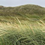 Aseel Omran Instagram - Westerland/Sylt, Germany