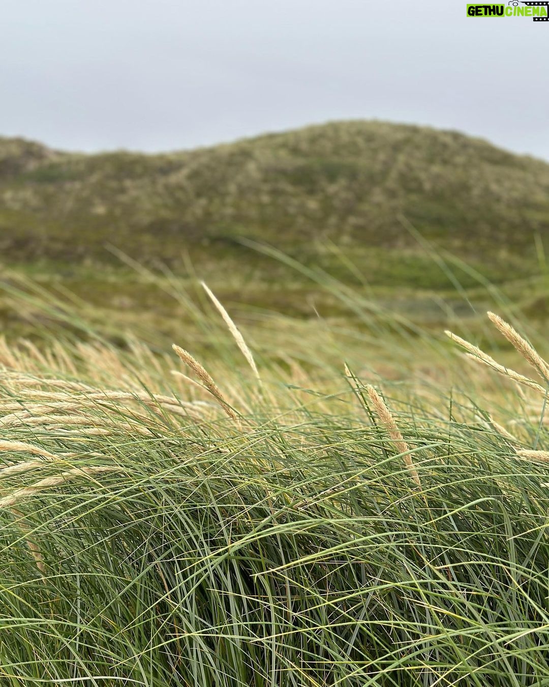 Aseel Omran Instagram - Westerland/Sylt, Germany