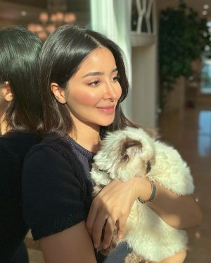 Aseel Omran Instagram - "In a cat's eye, all things belong to cats." 🐈