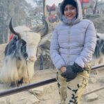 Aseema Panda Instagram - Making memories 💖 Kufri Hill Station