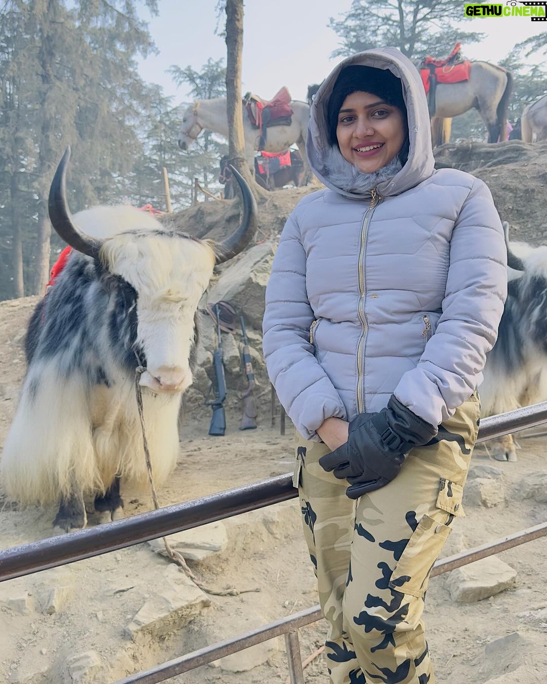 Aseema Panda Instagram - Making memories 💖 Kufri Hill Station