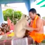 Ashok H Choudhury Instagram - राम सिया राम सिया राम जय जय राम 🙏🙏🙏🙏