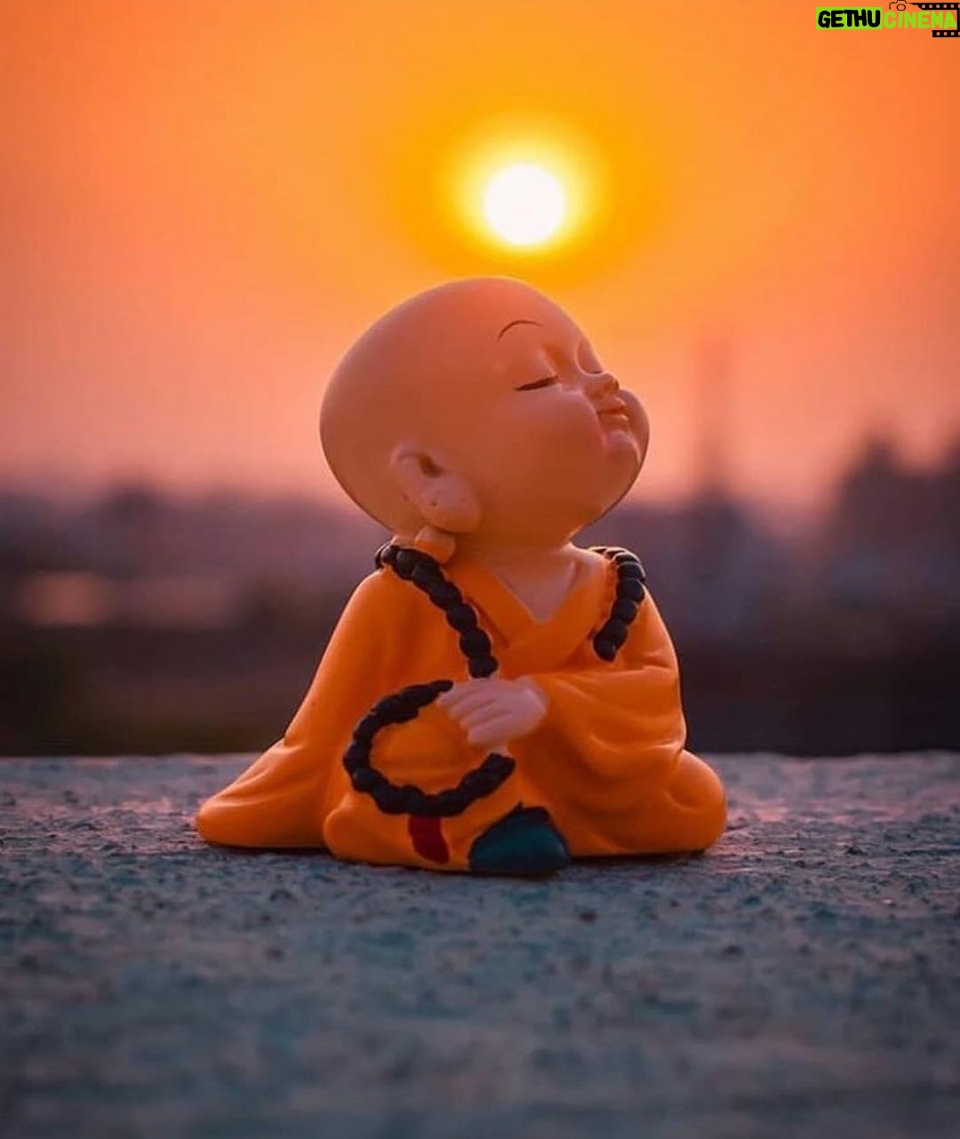 Ashok H Choudhury Instagram - Small meals. Focused mind. Minimal desires. Few, close friends. Present awareness. Boundless creativity. Authentic expression. Simple life.#waahzindagi