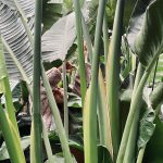 Aslı Enver Instagram - An…🌱