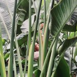 Aslı Enver Instagram - An…🌱