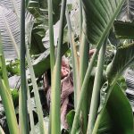 Aslı Enver Instagram - An…🌱